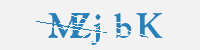 보안문자
